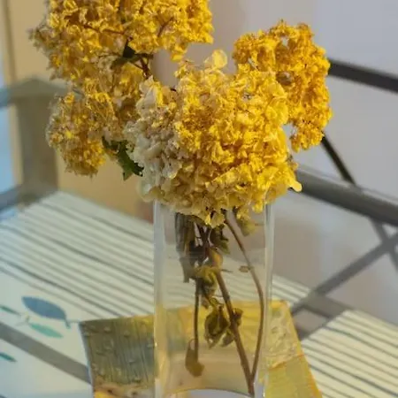 بيت للعطل La Casina Azul *